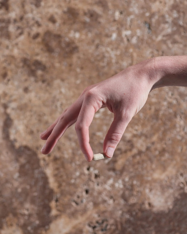 Herbs Of Gold Wormwood Clear 84t