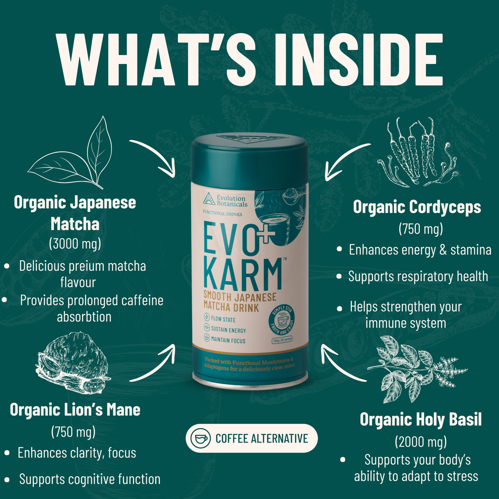 Evolution Botanicals Evo+ Karm Japanese Matcha Drink 150g