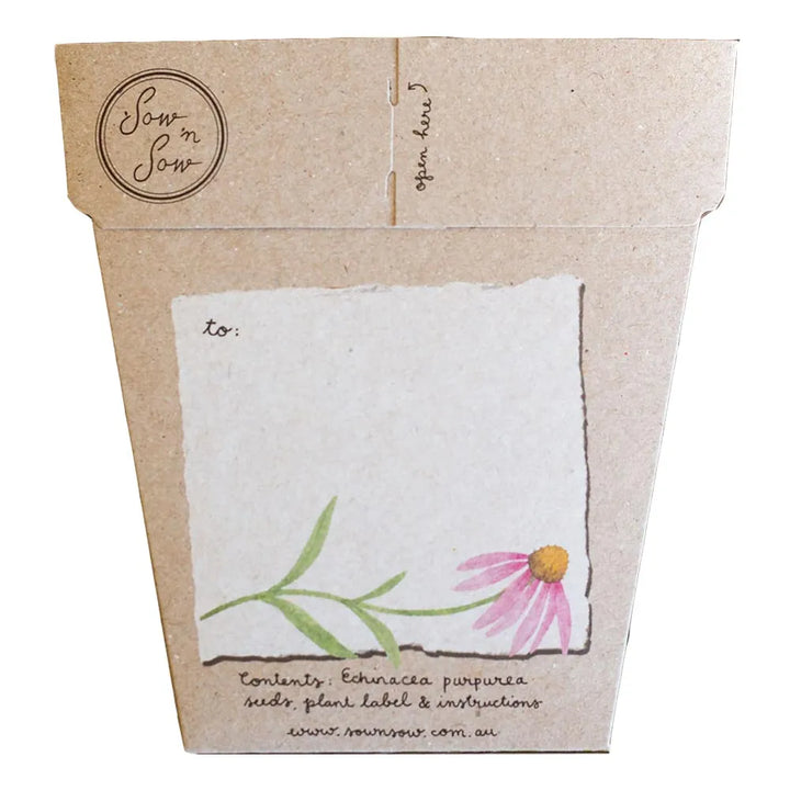 Sow N Seed Gift Seeds Echinacea