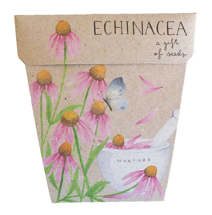 Sow N Seed Gift Seeds Echinacea