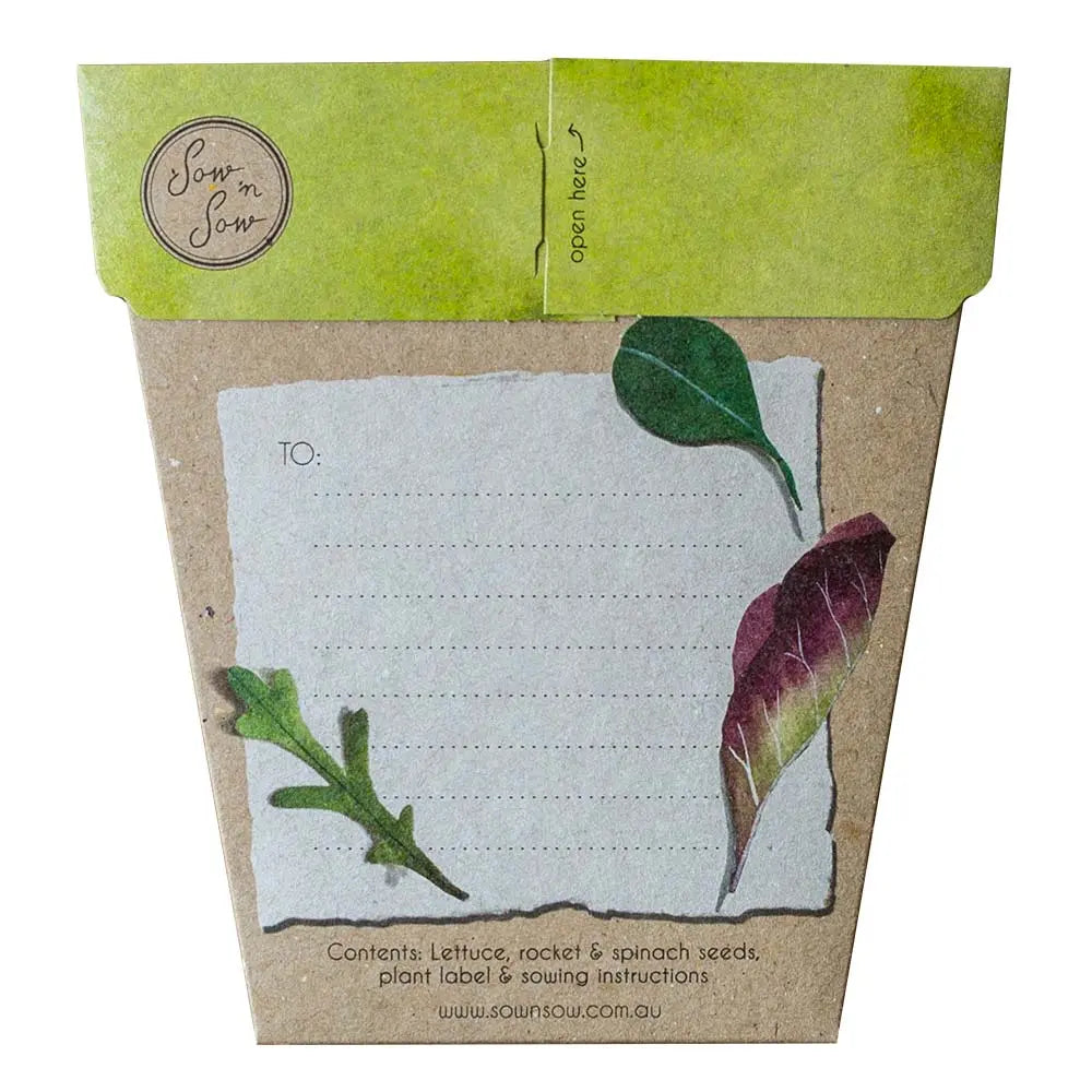 Sow N Seed Gift Seeds Leafy Greens