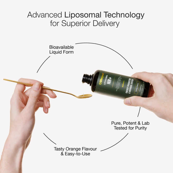 Life Cykel Liposomal Nr+ 100ml