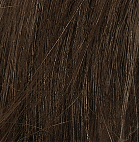 Naturtint 4g Golden Chestnut