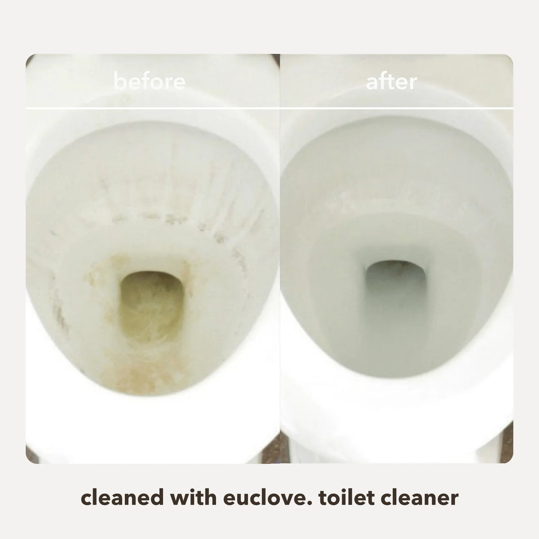 Euclove Toilet Cleaner 500ml