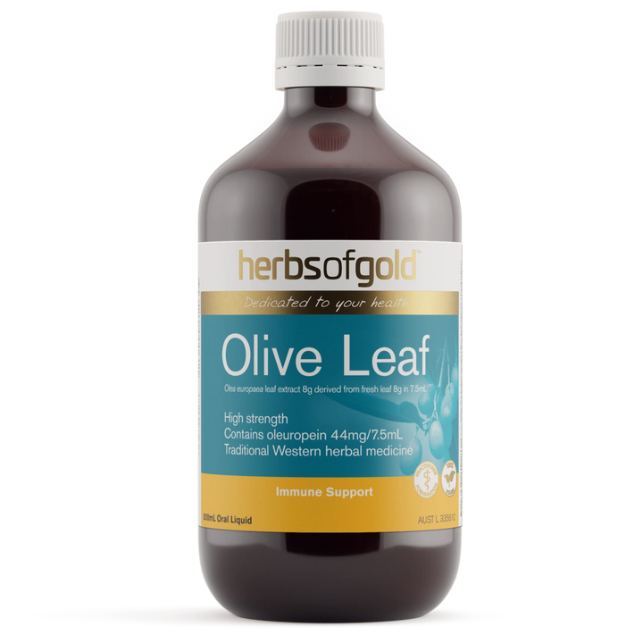 Herbs Of Gold Olive Leaf 500ml