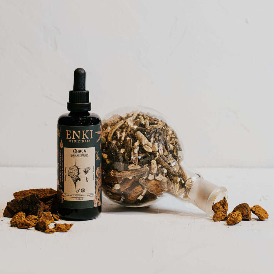 Enki Chaga High Potency Spagyric Tincture 50ml
