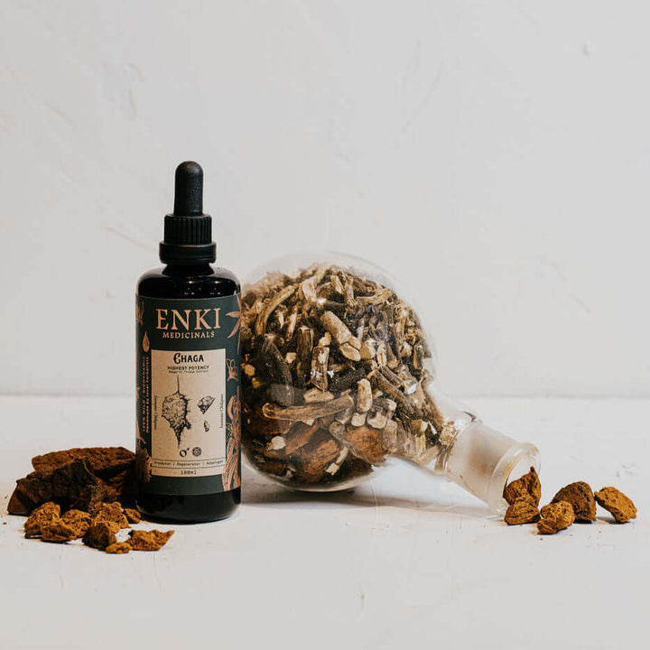 Enki Chaga High Potency Spagyric Tincture 50ml