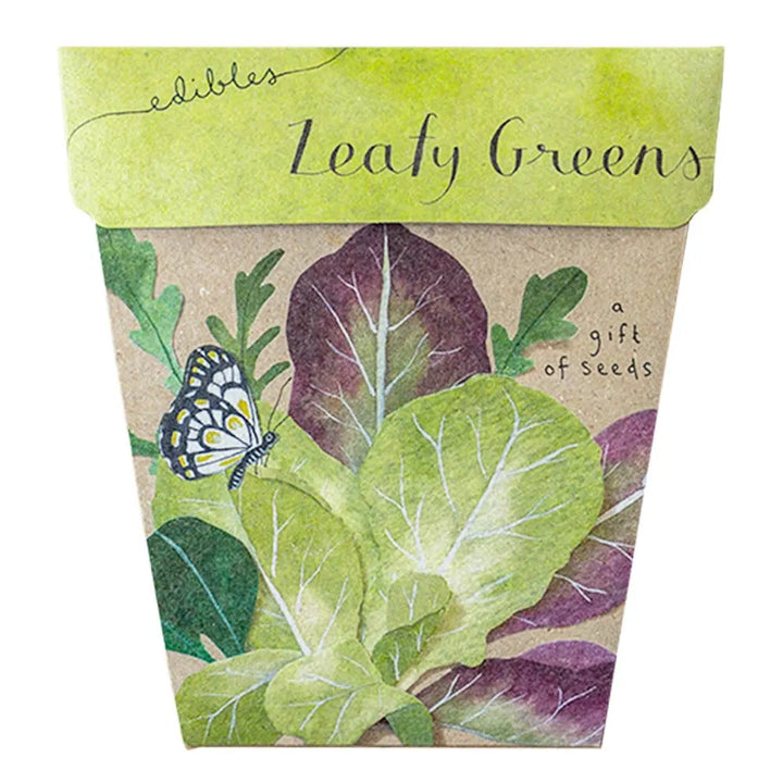 Sow N Seed Gift Seeds Leafy Greens