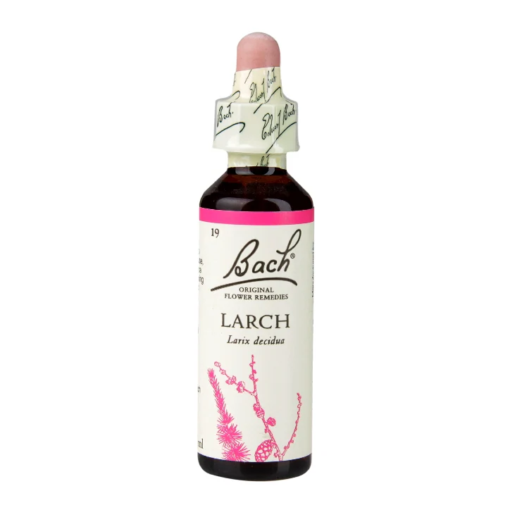 Bach Larch 20ml