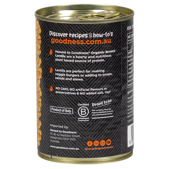 Honest To Goodness Organic Brown Lentils 400g